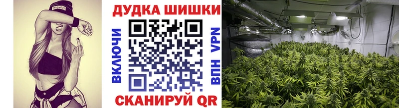 МАРИХУАНА SATIVA & INDICA Оханск